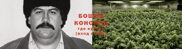 метадон Михайловск