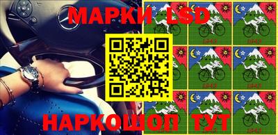 прущие грибы Новозыбков