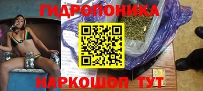 прущие грибы Новозыбков