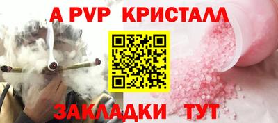 прущие грибы Новозыбков
