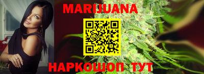 прущие грибы Новозыбков