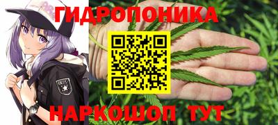 прущие грибы Новозыбков