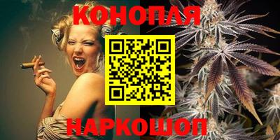 прущие грибы Новозыбков