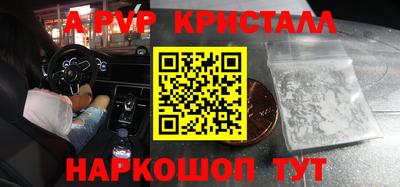 прущие грибы Новозыбков