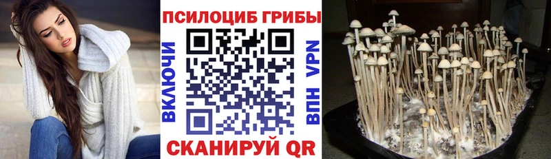 Псилоцибиновые грибы мухоморы  мега сайт  Осинники 