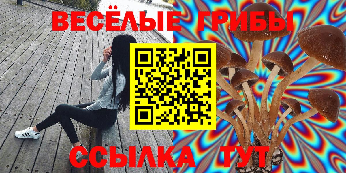Псилоцибиновые грибы Cubensis  Вход с VPN  Галлюциногенные грибы MAGIC MUSHROOMS  Осинники 