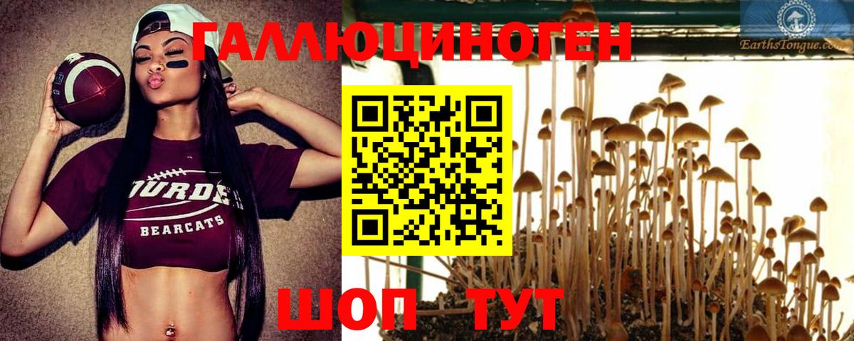 Псилоцибиновые грибы прущие грибы  купить наркоту  Осинники  Вход с VPN 