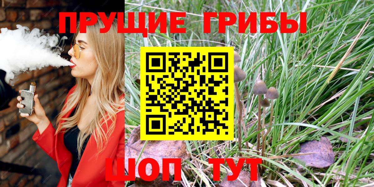 Псилоцибиновые грибы ЛСД Осинники